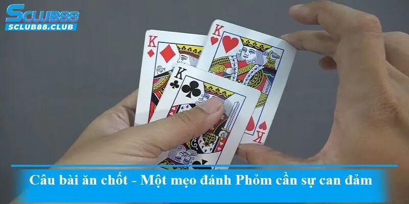 Câu bài ăn chốt - Một mẹo đánh Phỏm cần sự can đảm