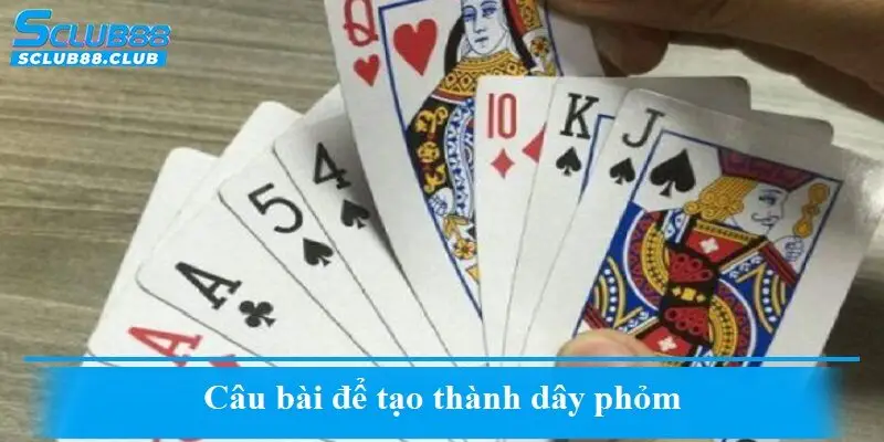 Câu bài để tạo thành dây phỏm