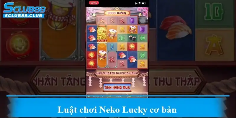 Luật chơi Neko Lucky cơ bản